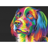 Värvikas koer