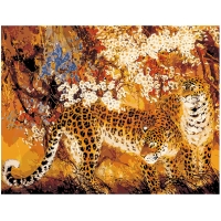 Leopards 1