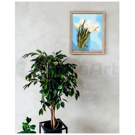 Baltas tulpes