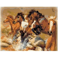 Wild horses