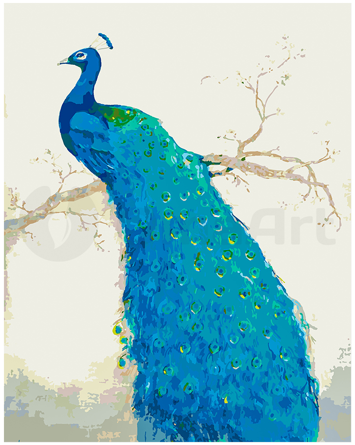 Purple peafowl 1