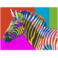 Värviline Zebra