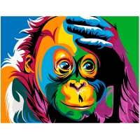 Colorful Monkey