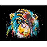 Colored Monkey