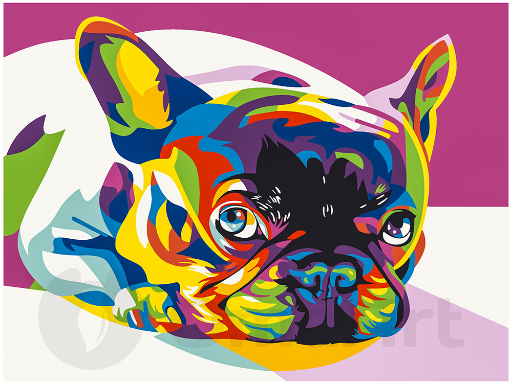 Colorful Bulldog