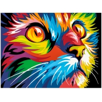 Krāsains kaķis