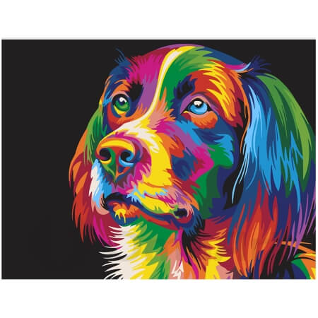 Colorful dog