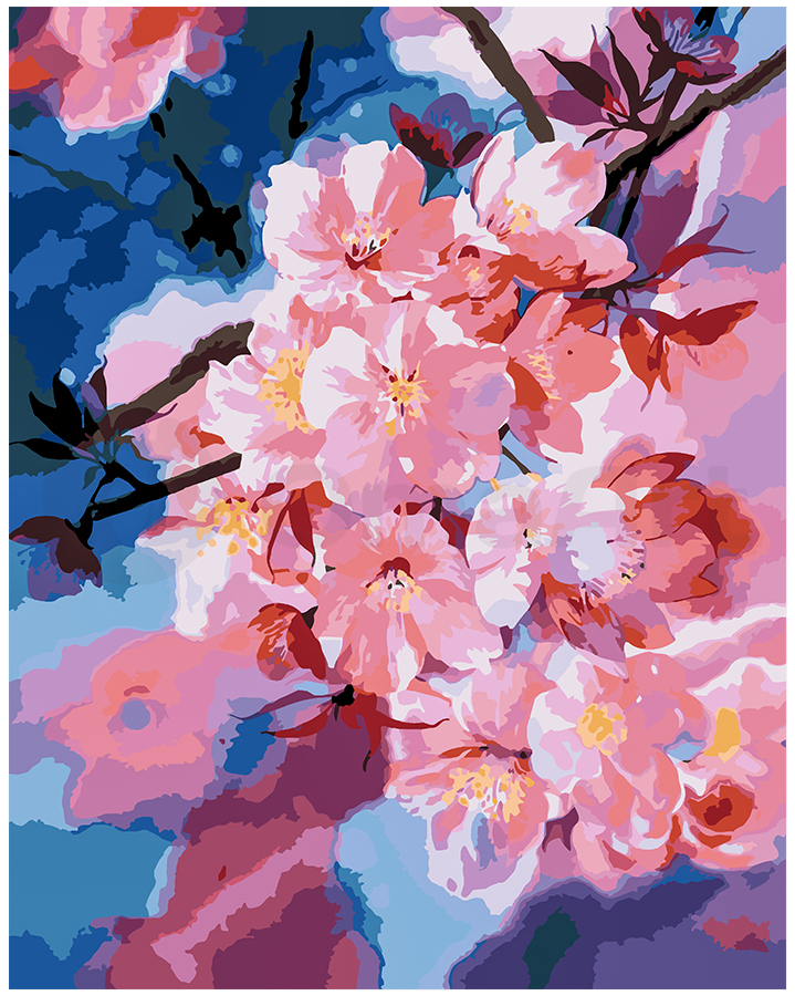 Sakuras ziedēšana