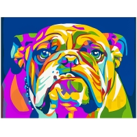 Colored Bulldog