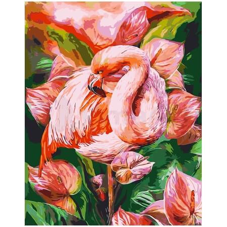Flamingo