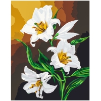 Snow-White Lilies