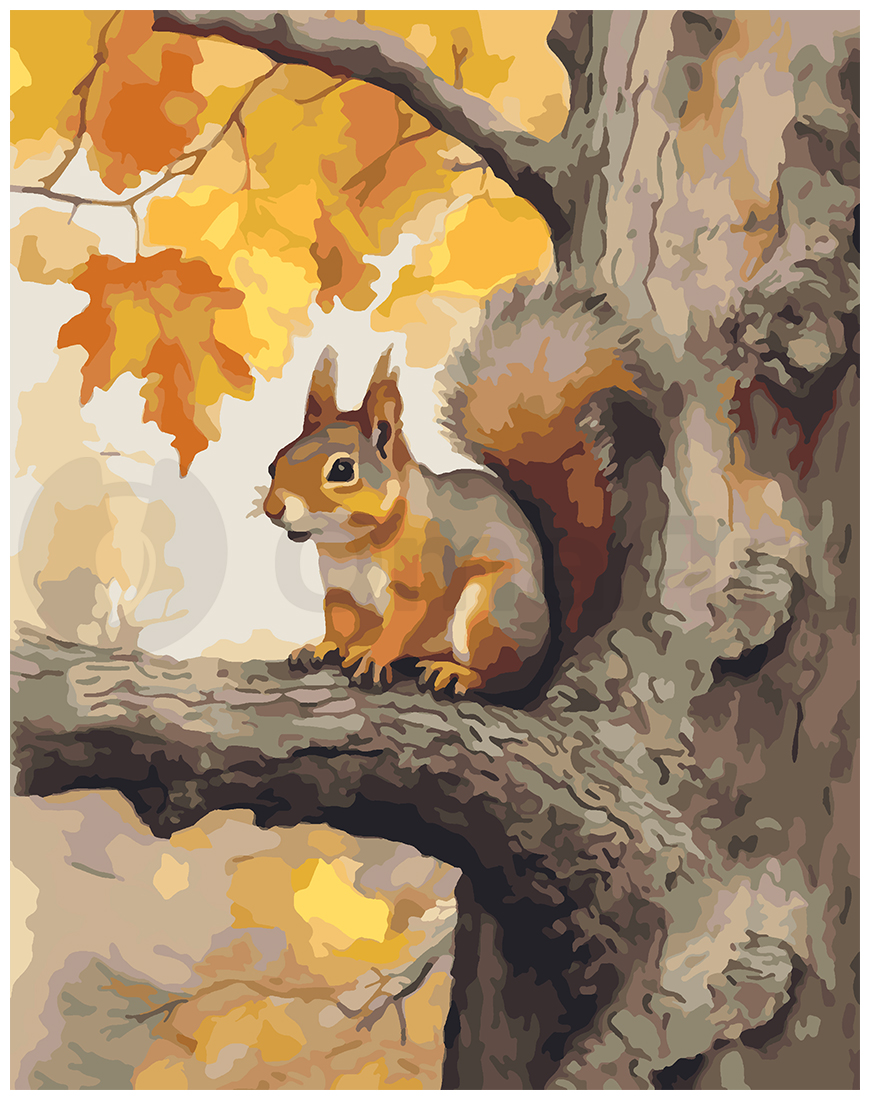 Squirrel