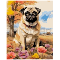 Pug