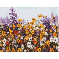 Paint by Numbers: Meadow Flowers