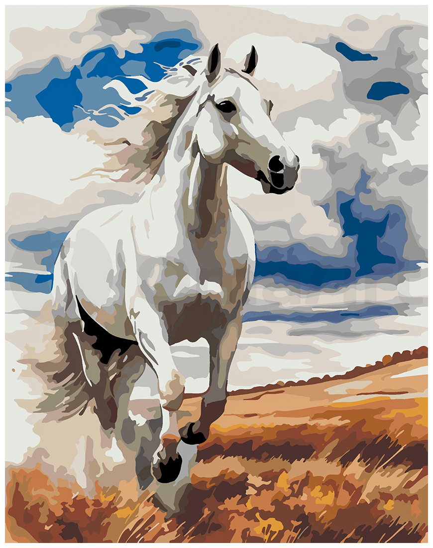 White horse in the field