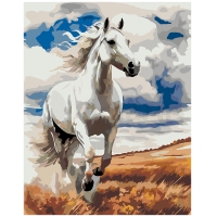 White horse in the field