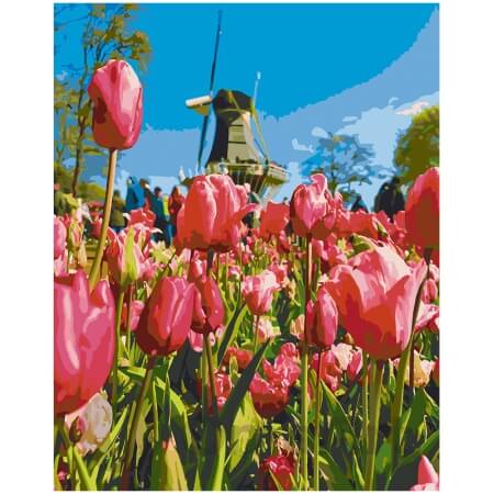 Krāsošana pēc numuriem: Tulpes pie dzirnavām