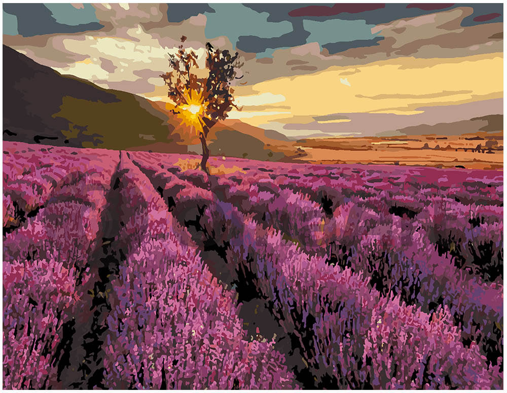 Paint by Numbers: Lavender Fields Bliss