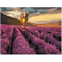 Картина по номерам: Фиолетовое чудо природы