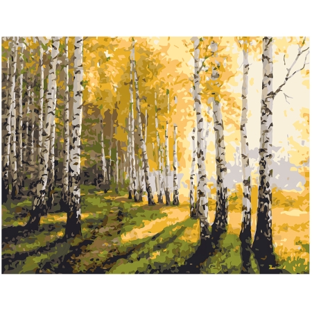 Birch forest