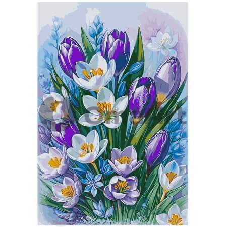 Violeto Elegance: Tulpes