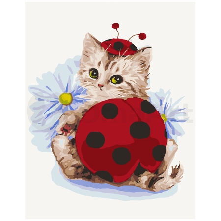 Cat-ladybug