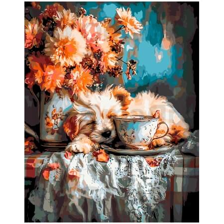 Сладкий сон