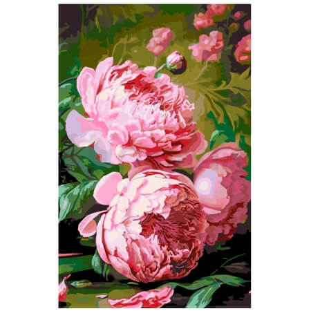 Vaaleanpunainen kukinta