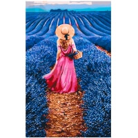 Путь сквозь лаванду