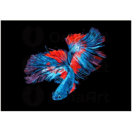 Подводная грация