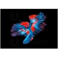 Vedenalainen sulokkuus