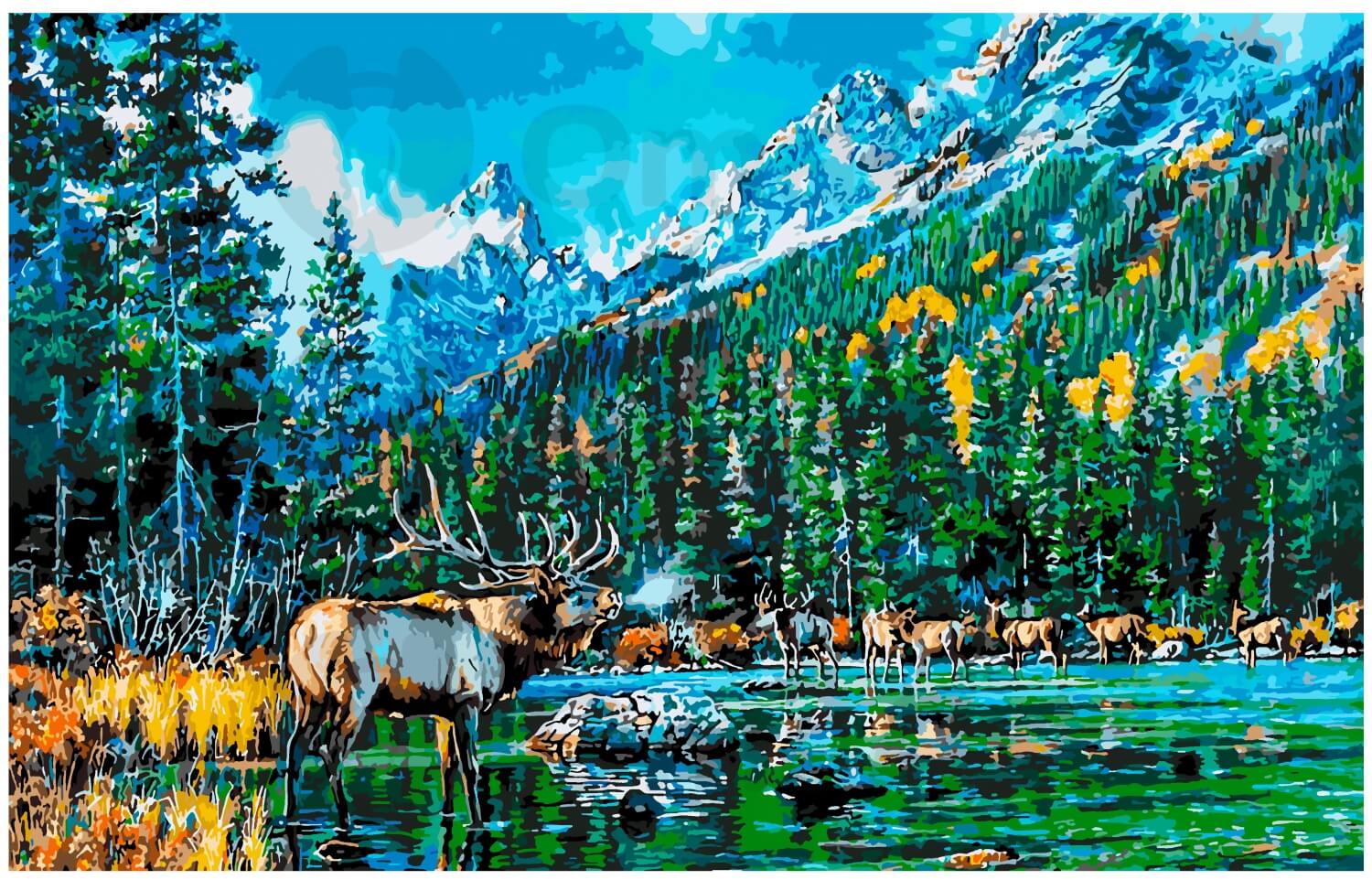 Заповедный край