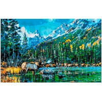 Заповедный край