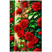 Aesthetics of Roses