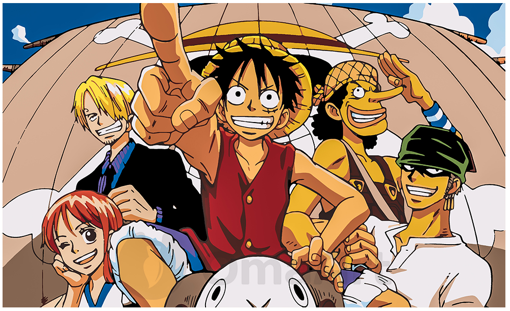 One Piece 50x30