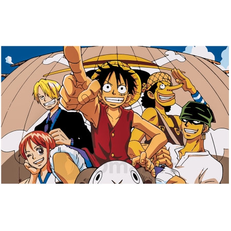 One Piece 50x30