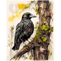 Black Raven