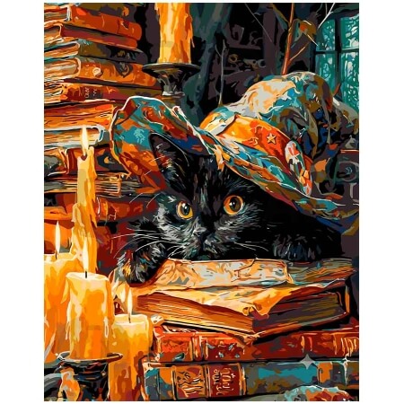 Wizard's Cat