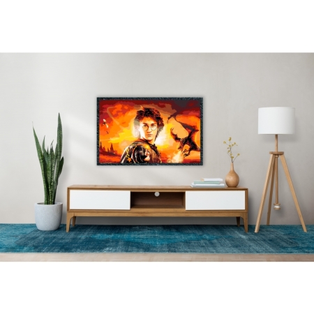 Harry Potter and the Goblet of Fire 40x60