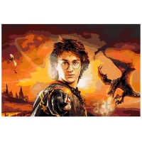 Harry Potter and the Goblet of Fire 40x60