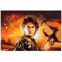 Harry potter ja tulepeeker 40x60