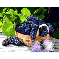 Vynuogių krepšelis