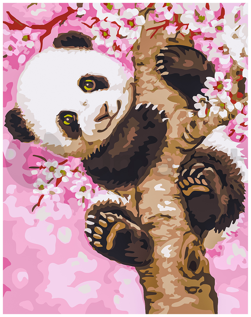 Smagi panda