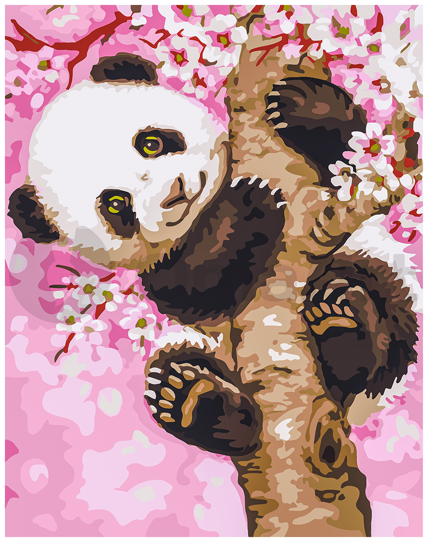 Cute panda