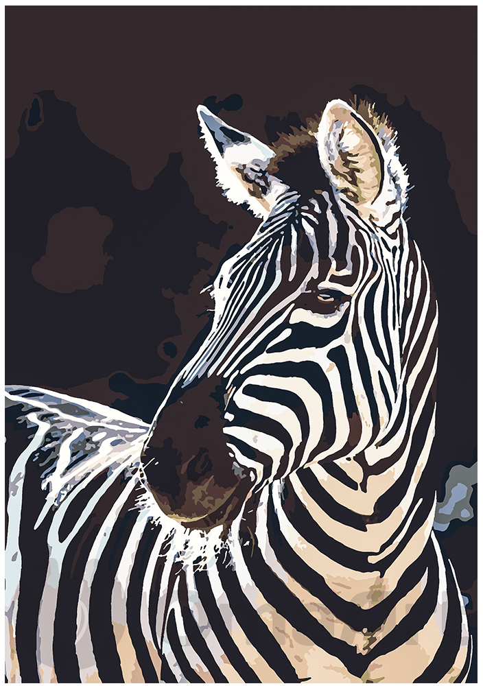 Zebras 50x35