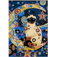 Space cat 50x35