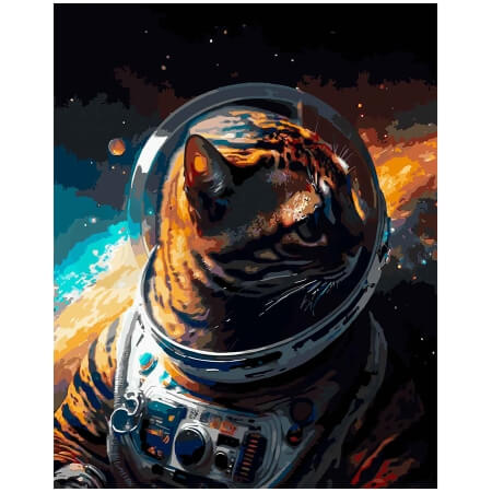 Кот в скафандре