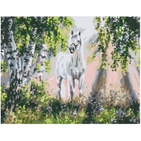 A horse in the woods