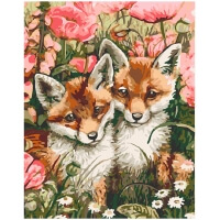 Foxes