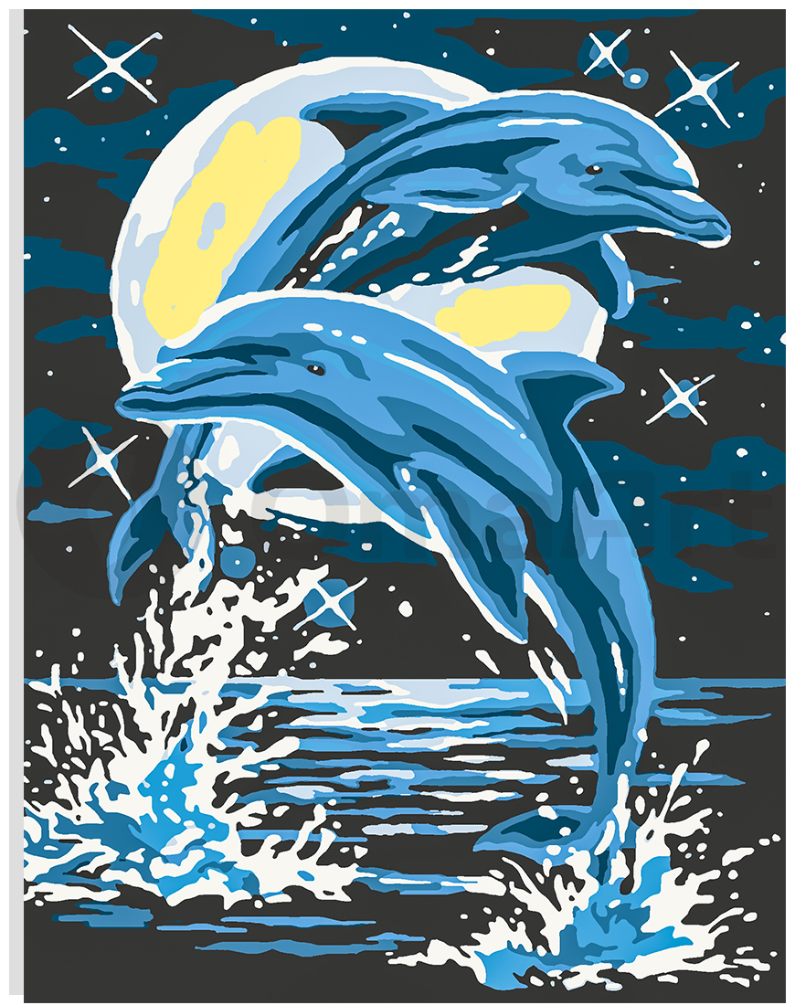 Naktiniai delfinai